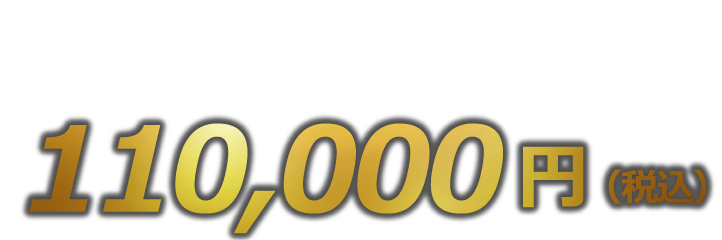 110,000円（税込）